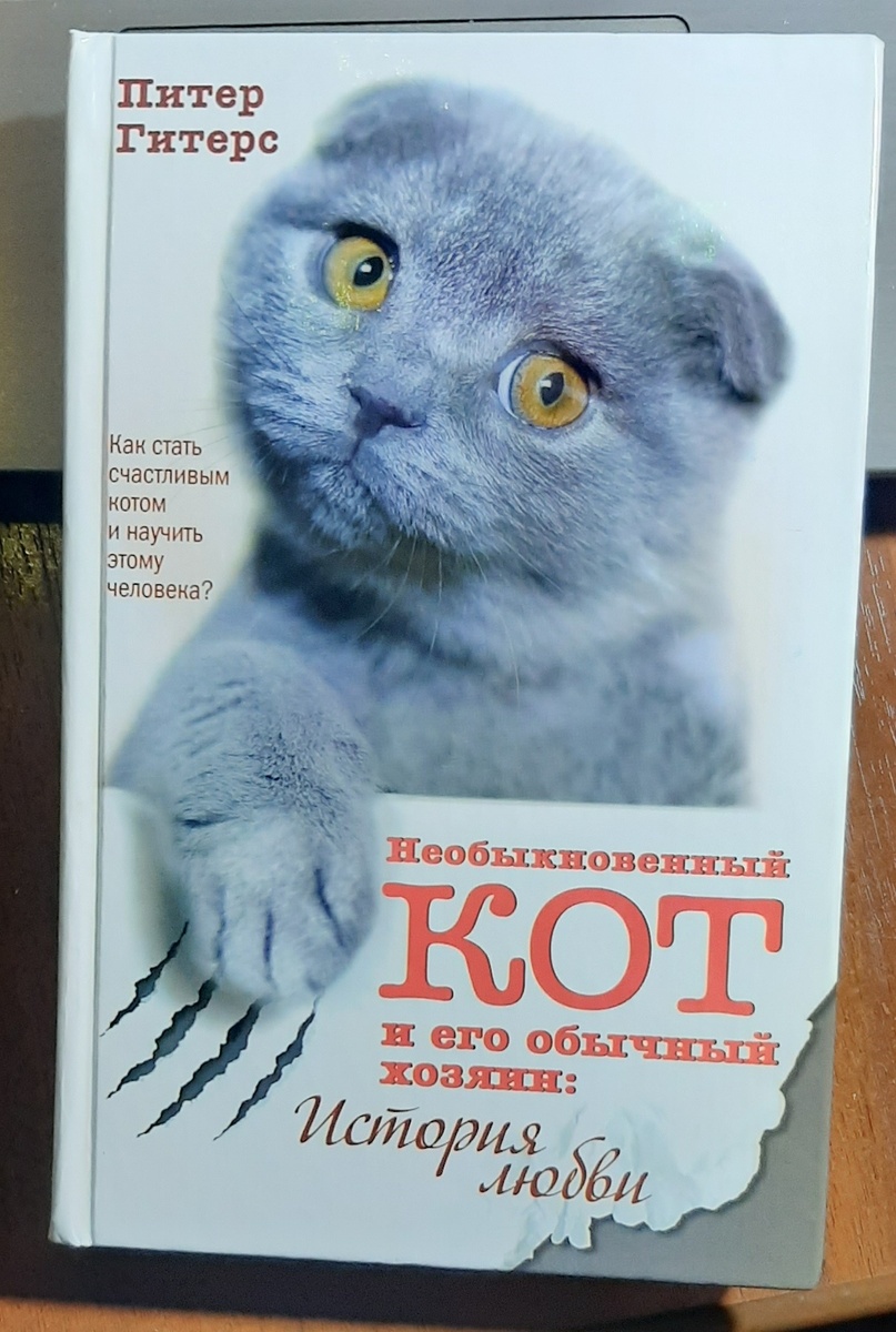 Моя книга