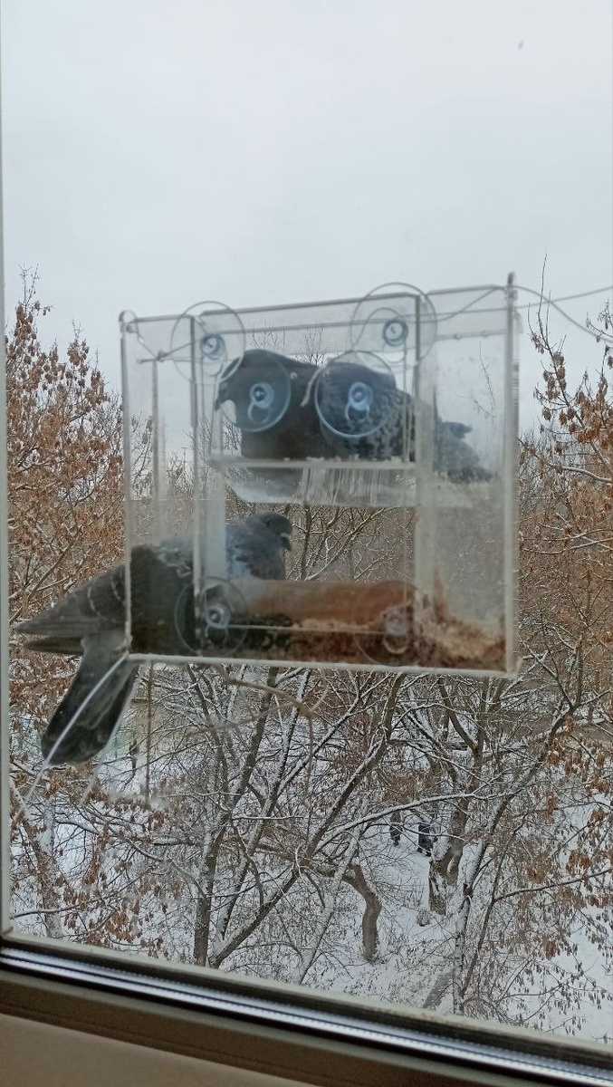 Всё там же. Всё те же