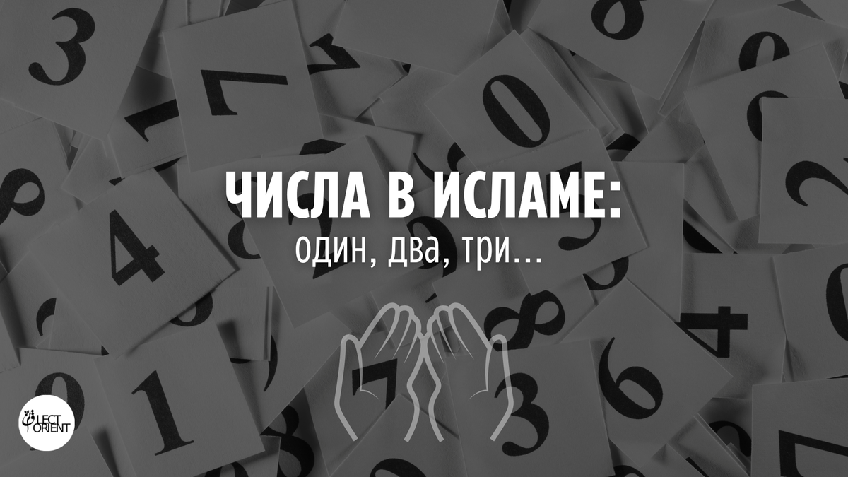 Фото взято из открытого фотостока Canva