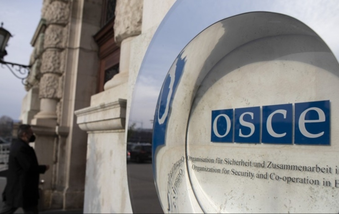    «Известия»: в ОБСЕ начнут готовить Украину к вступлению в ЕС и НАТО