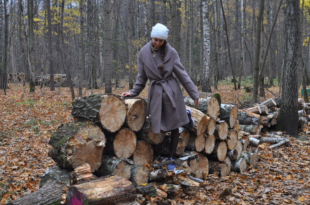 Тимирязевский лес