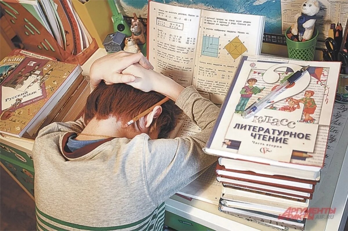    Ученикам двух школ в Пермском крае не выдали учебники по 7 предметам