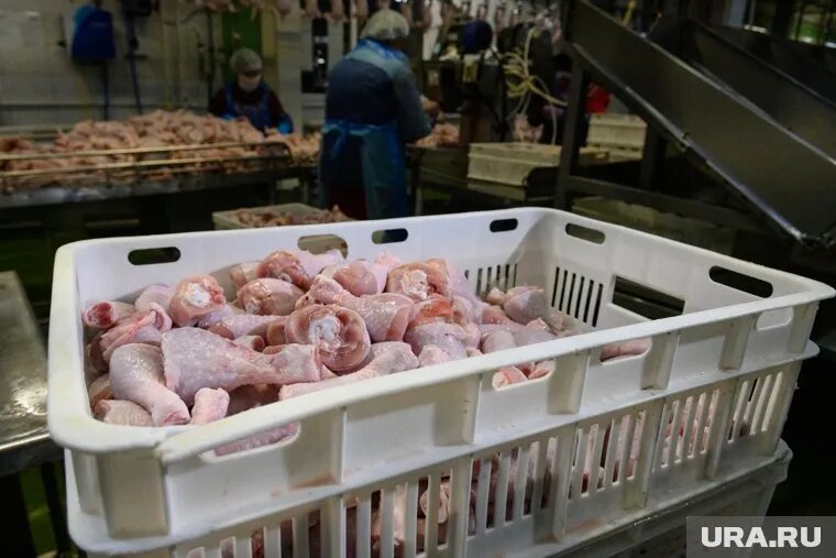 В 2023 году тюменский «Руском» попался на продаже курятины без проведения ветеринарной экспертизы. Фото: Владимир Жабриков © URA.RU