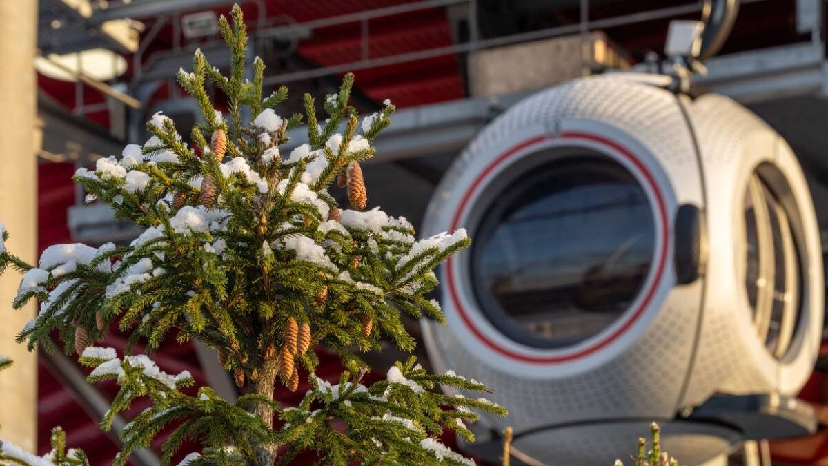    Фото: пресс-служба ВДНХ