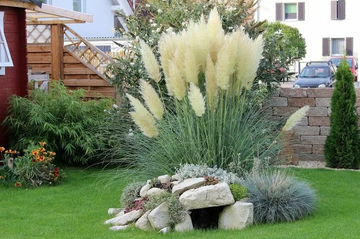 Ландшафт преображается со злаковыми. 