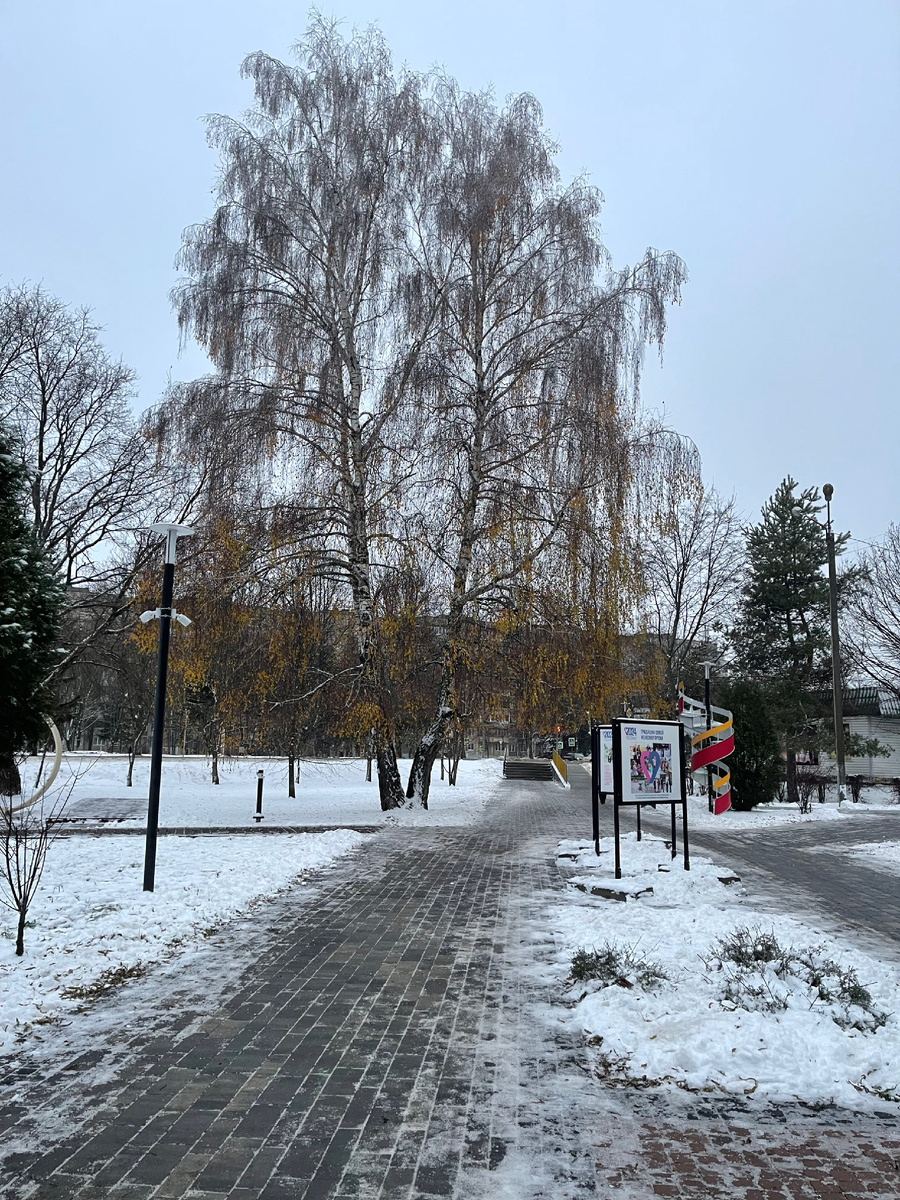 Вот зима скромненько наступает.
