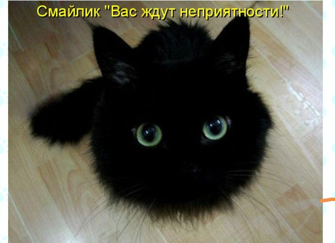 Моя котоматрица с одноимённого сайта. 