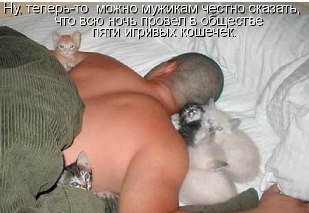 Моя котоматрица с одноимённого сайта 