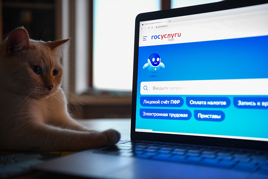    © Александр Кряжев/РИА Новости