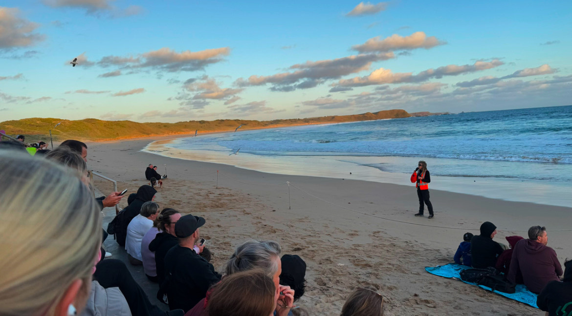 Все уже расселись в ожидании пингвинов