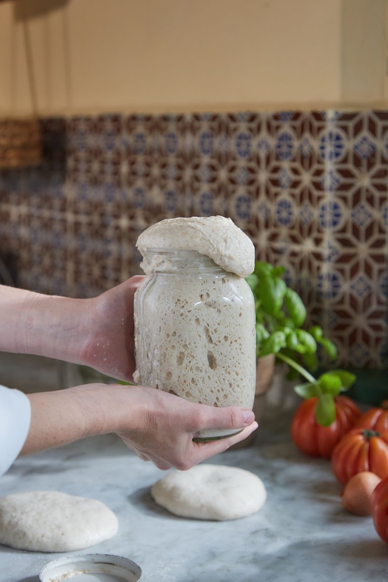 микробиом закваски