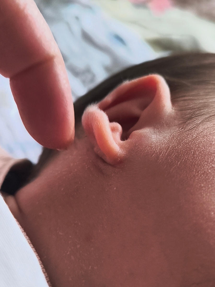 Все фотографии в статье авторские. 