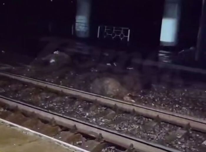 Источник фото: "Это Ростов"vk.com