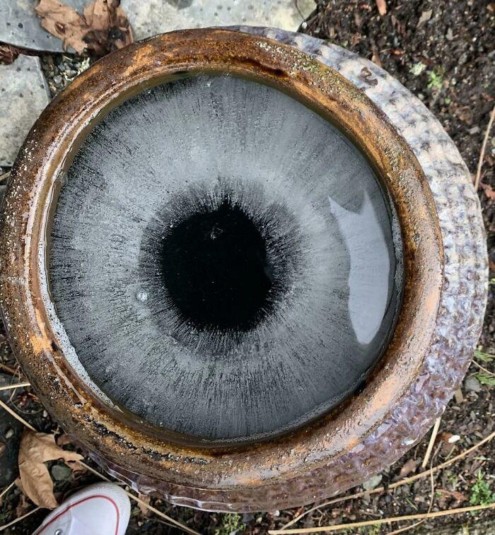 -8