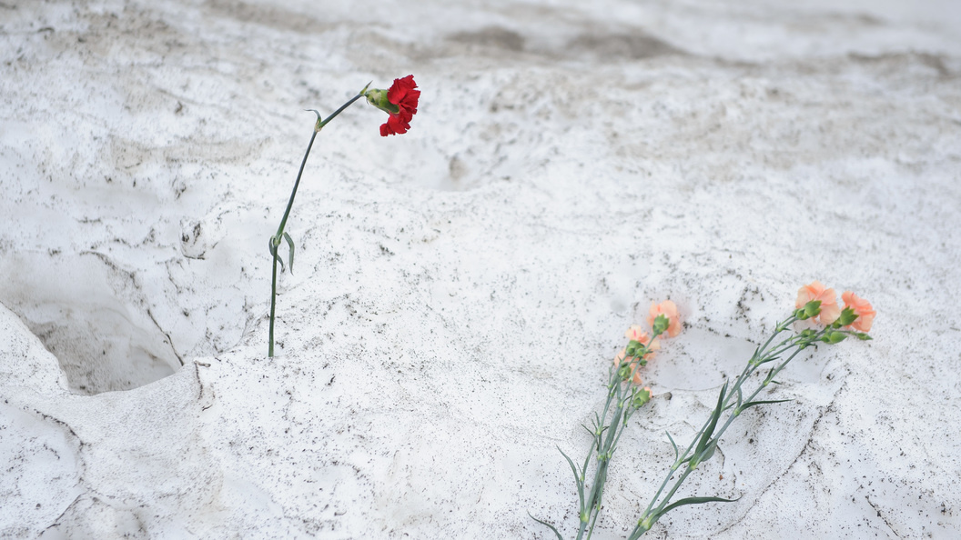    Dmitry Chasovitin/Global Look Press