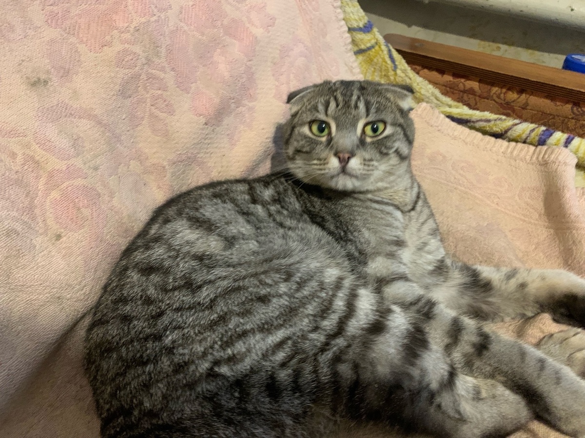 Маруся выделяется особой статью. Она крупная и длинноногая красотка