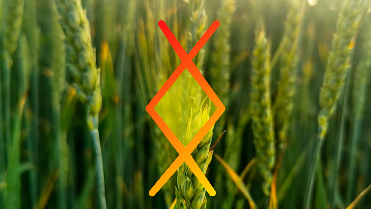 сделала изображение руны Ингуз, которая по-моему мнению лучше всего отображает суть руны