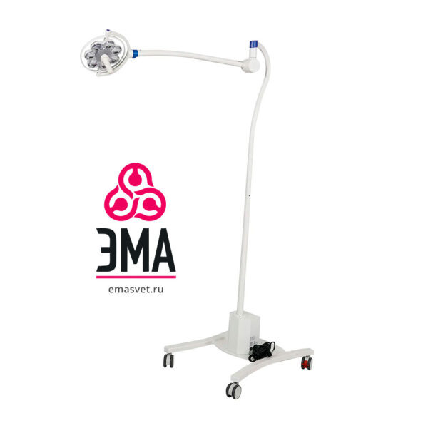 Передвижной светильник ЭМАЛЕД 200-01П смотровой медицинский258 500 ₽В корзину