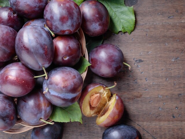    Фото: 123RF/igorr