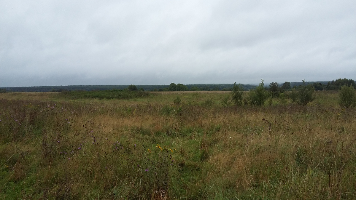 Пусть в этой статье будут просто приятные глазу виды