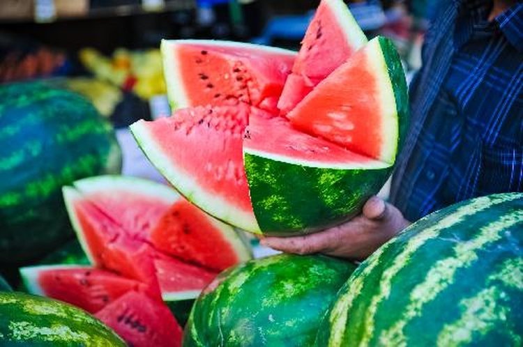    Бахчевой сезон в Волгоградской области доказал урожайность отечественных семян