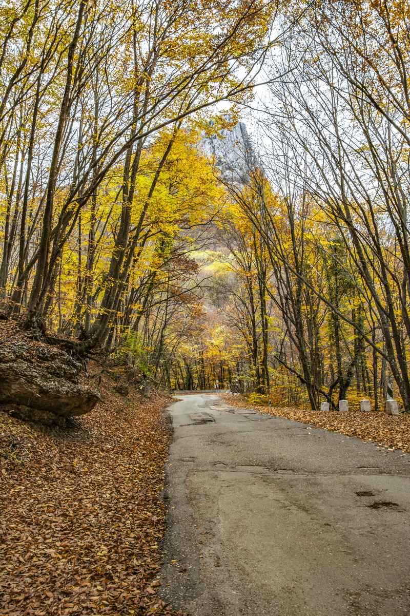 Старая, но удобная дорога. Фото Сергея Малышева.