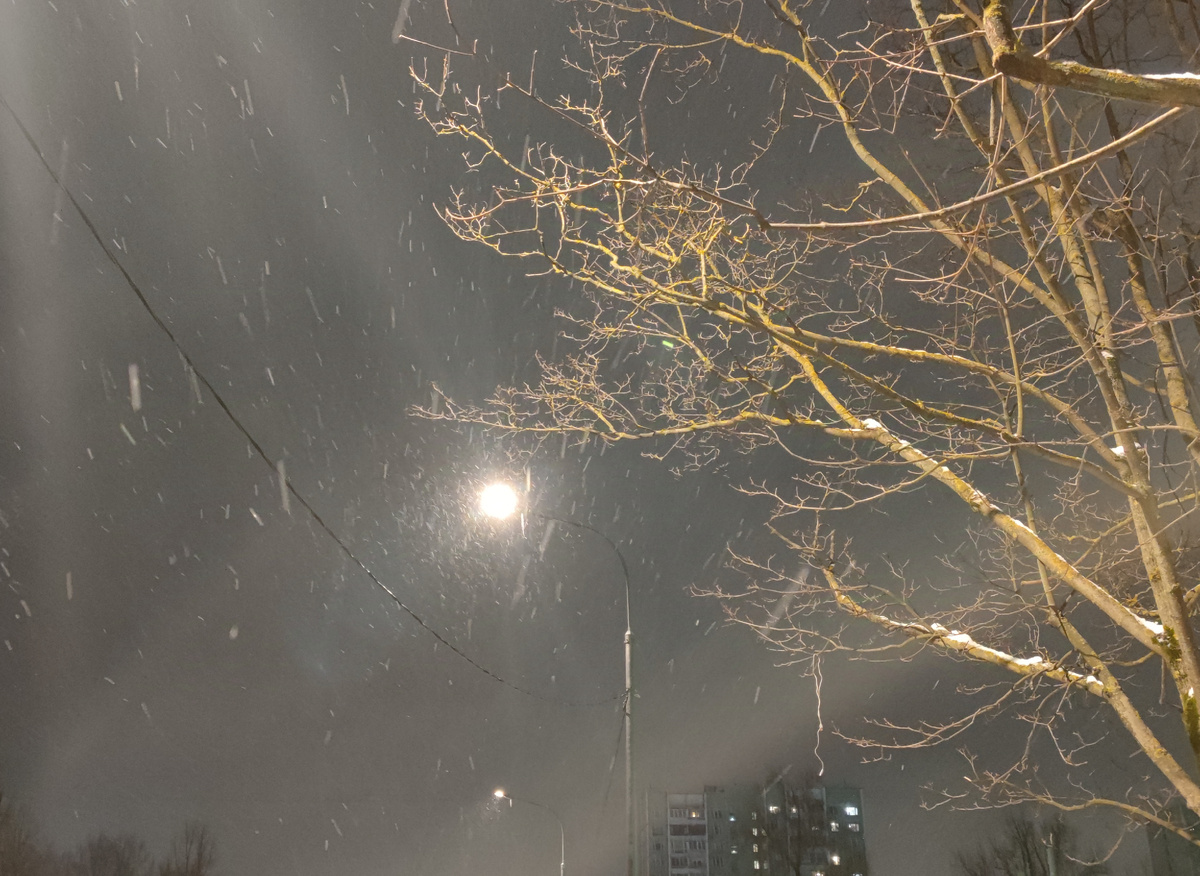 Декабрьский вечер в Лианозово. 12.12.2024 г, четверг. ЗДЕСЬ и далее фото автора и(или) из личного архива автора, если не указано иначе.