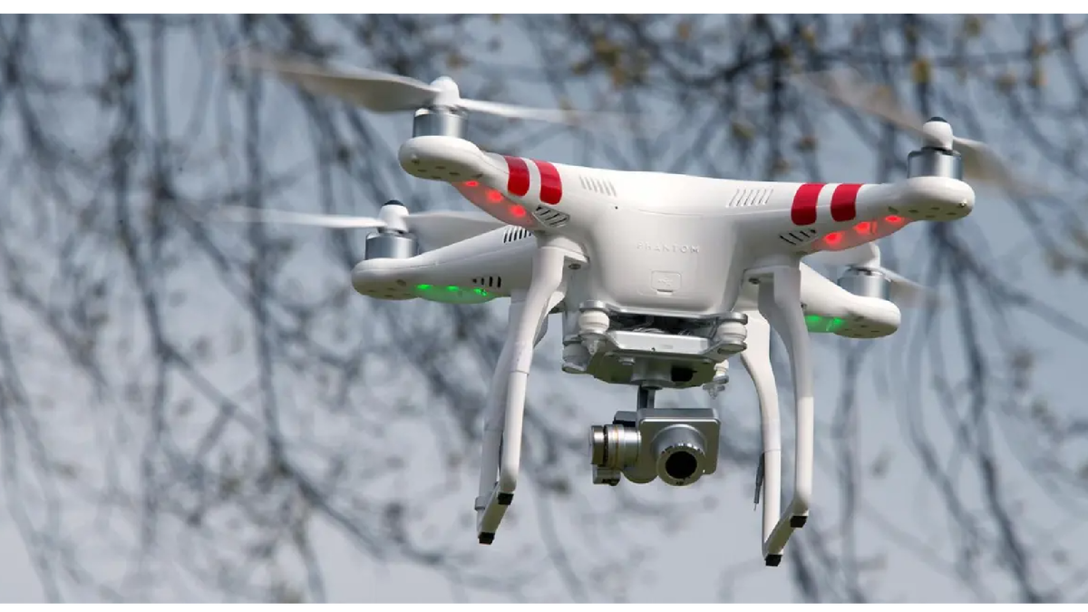 Фото из открытых источнико интернета Яндекс.картинки