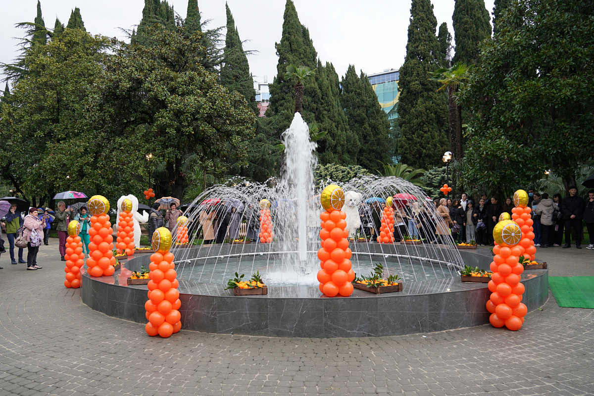    фото: sochi.ru
