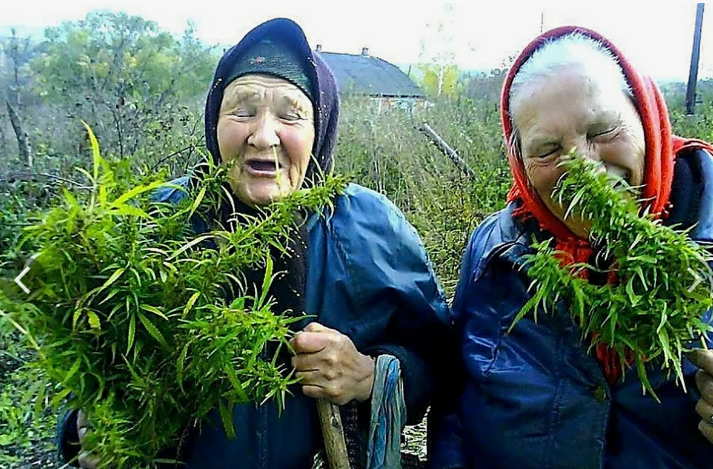 Смешно но ситуация страшная