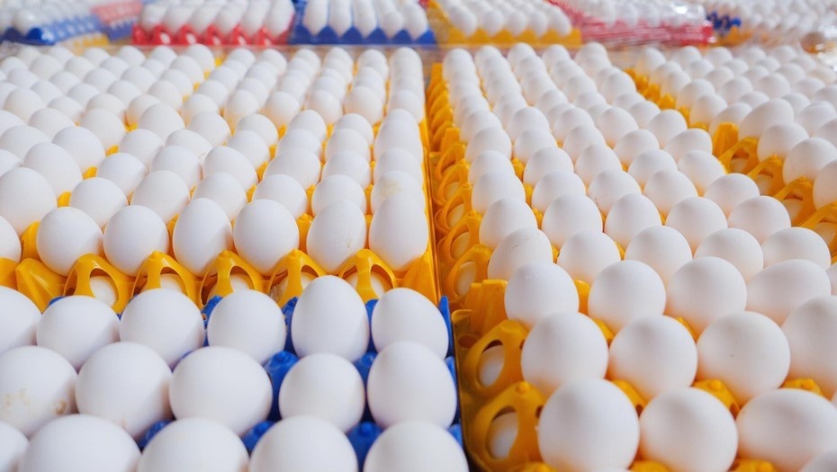    Автор фото: Беликов Валентин