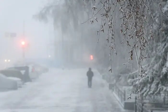     © РИА Новости. Андрей Сорокин