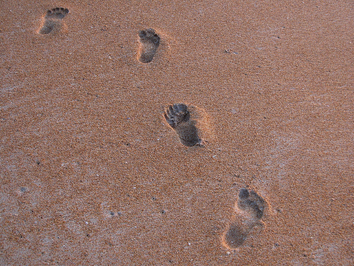 Изображение из открытых источников Яндекс 