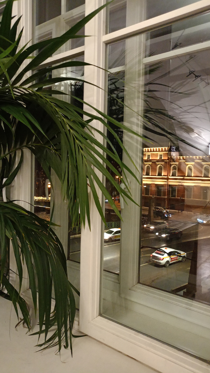 А в окна видно канал, музей. И, если постараться, то налево можно увидеть светящийся Поцелуев мост