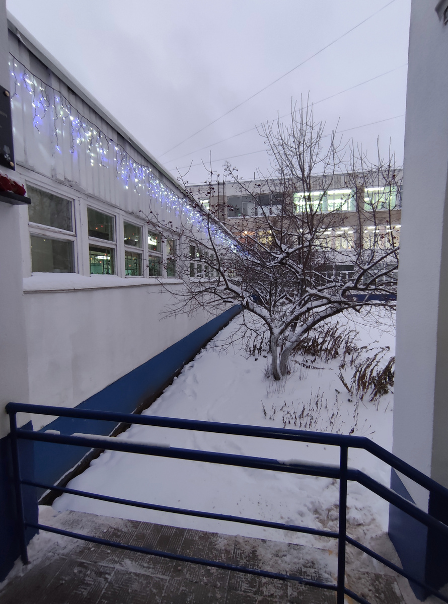 Наша школа уже готова праздновать Новый год. 