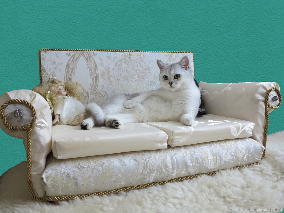 Кошка Кэтти или Кэт.