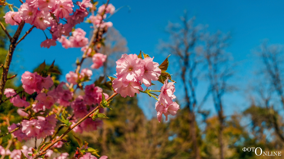 листайте вправо