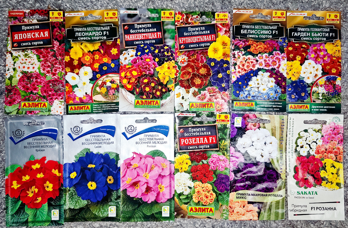 Семена примулы 2024