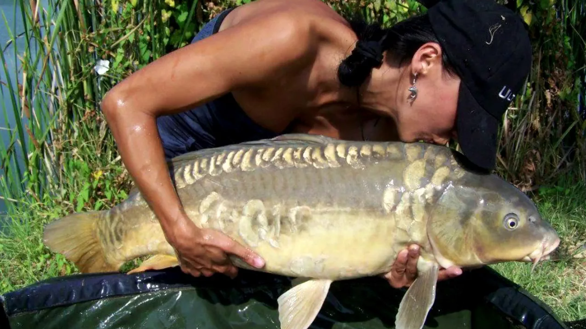 Зеркальный карп