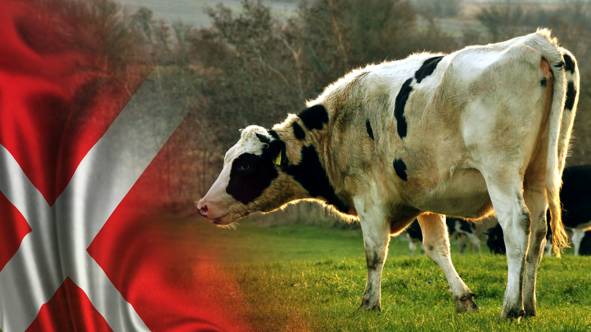 Деньги есть?