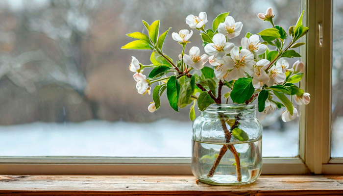 Веточка яблони расцвела — к счастливому событию. Фото: shedevrum.ai