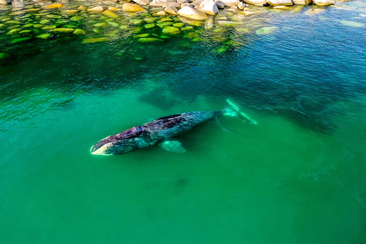 Фото: Илья Труханов