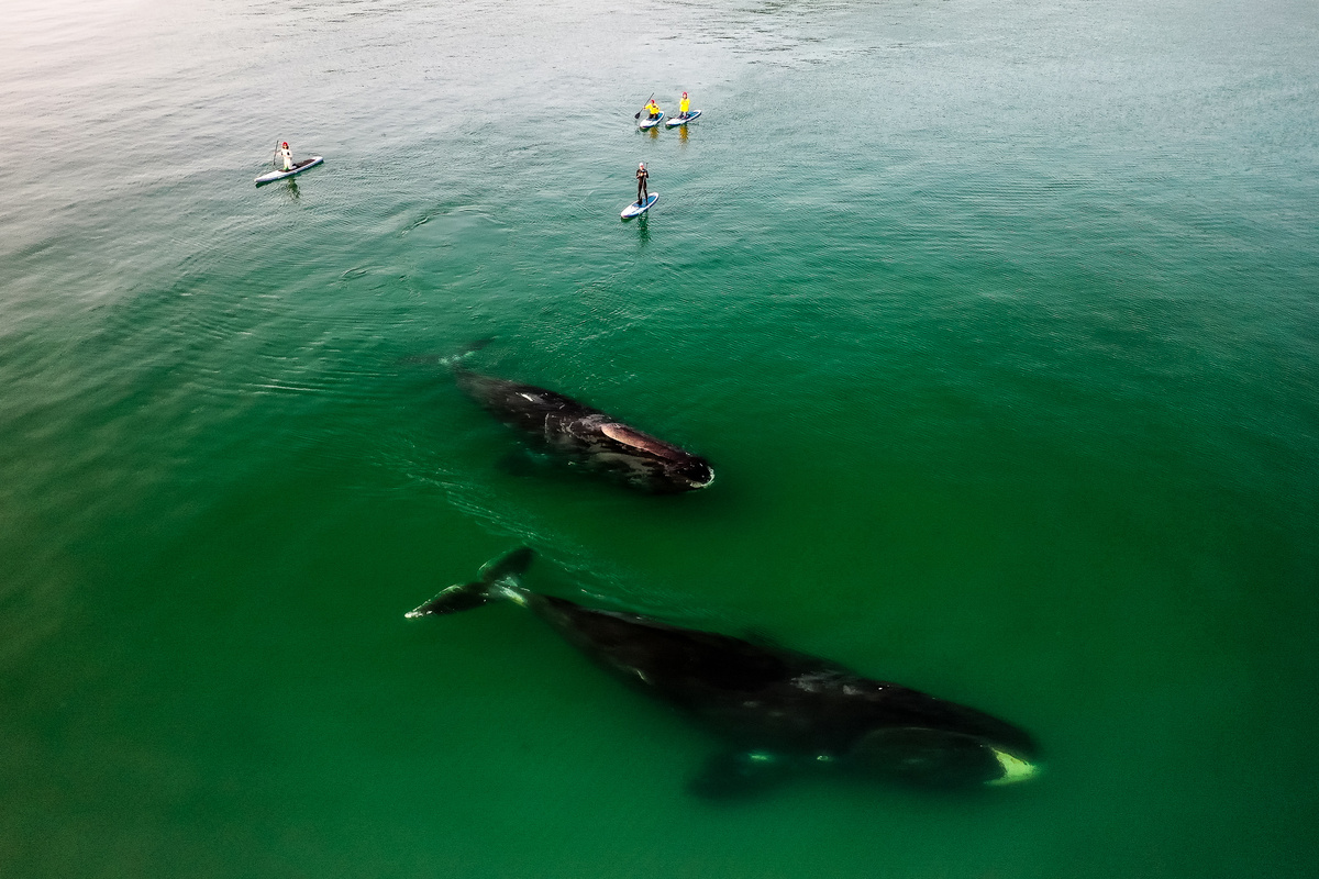 Фото: Илья Труханов