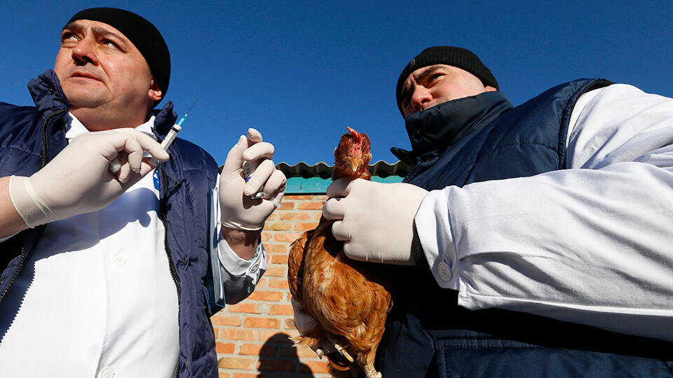 Фото: © ТАСС/Валерий Матыцин