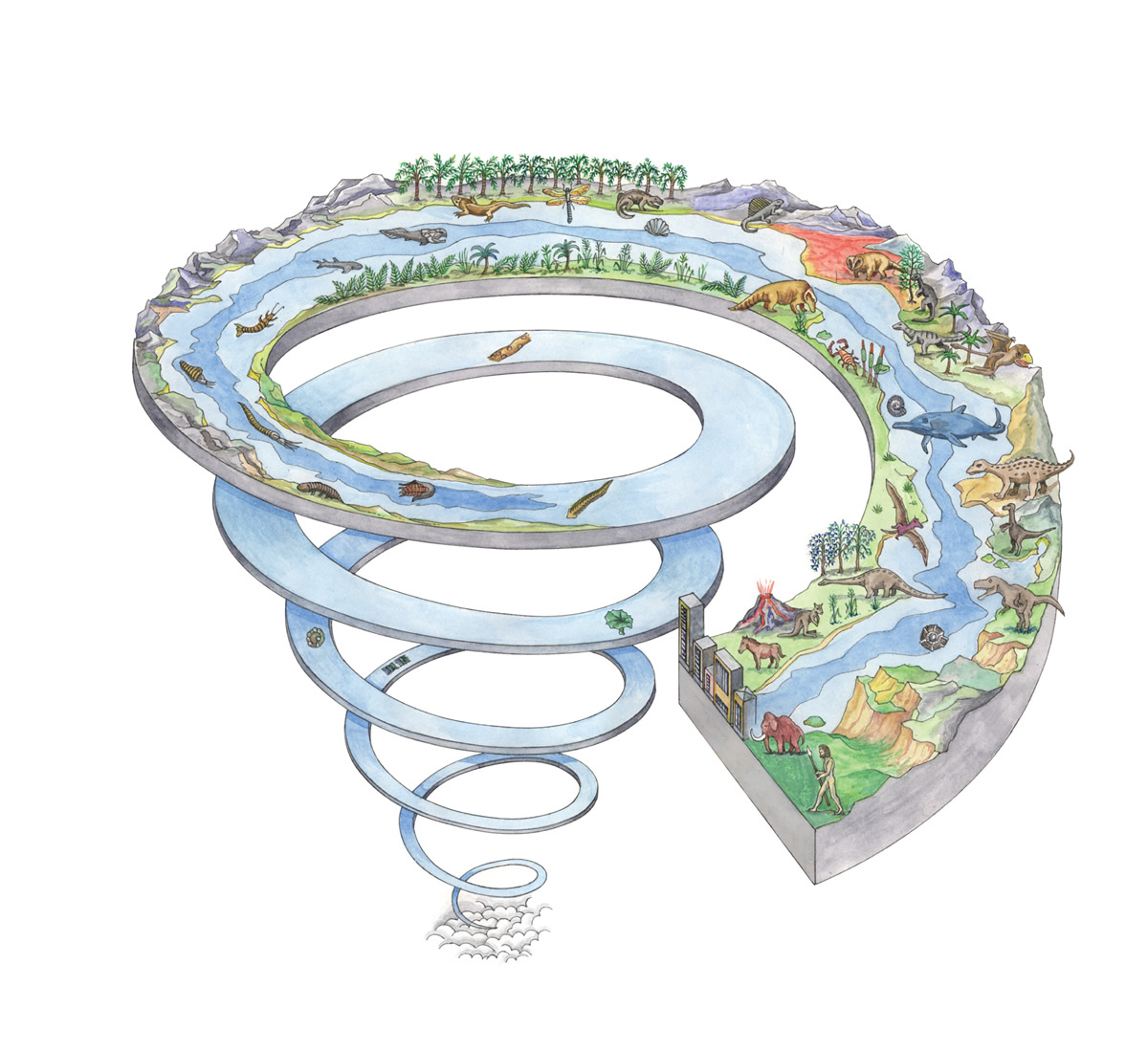 Всякая эволюция движется по спирали?