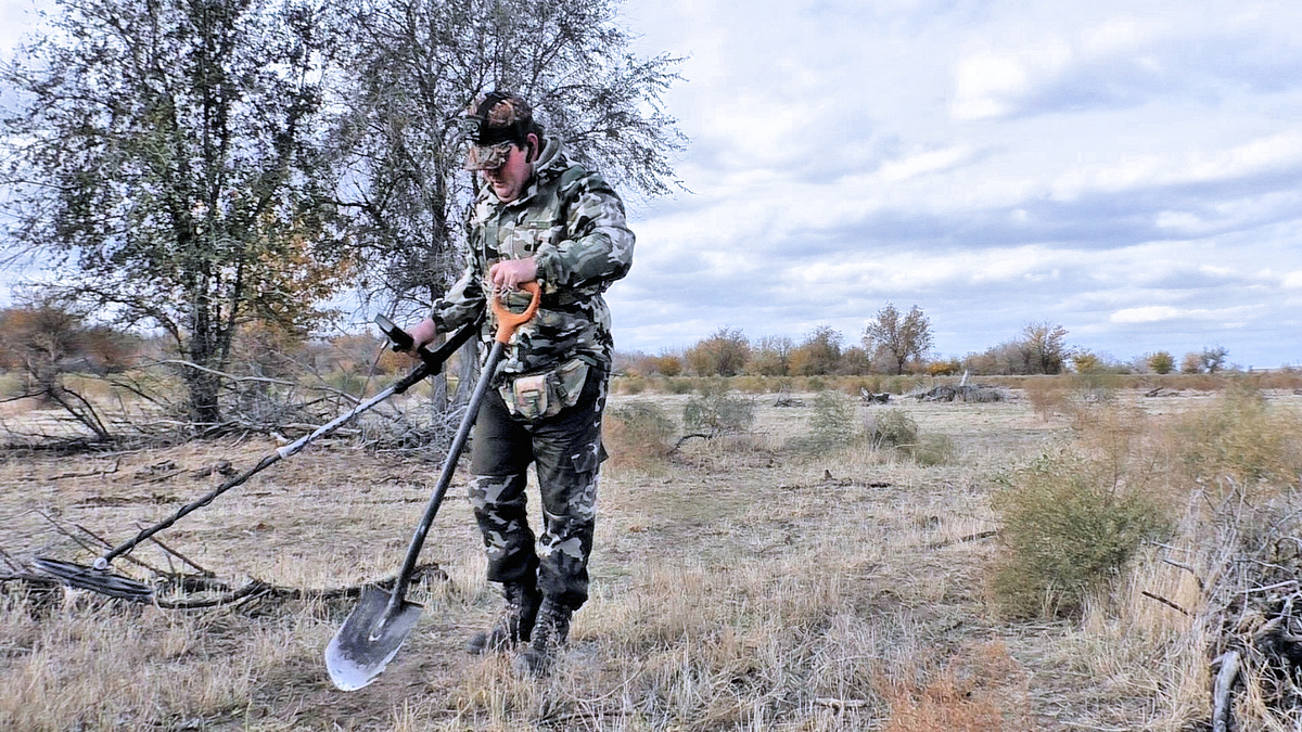 Это я прогуливаю свой Сигнум