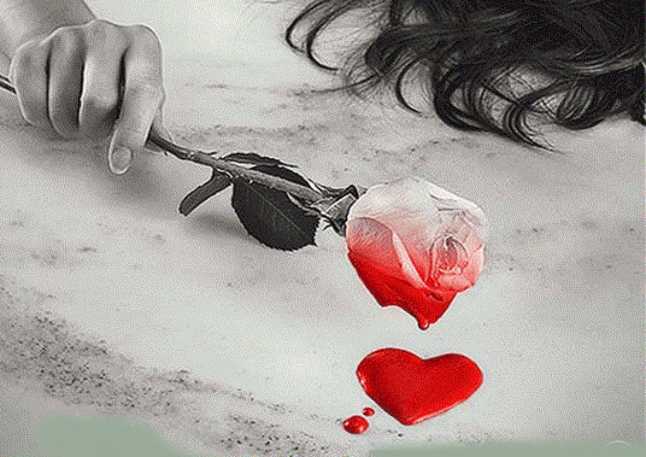 

Яндекс Картинки