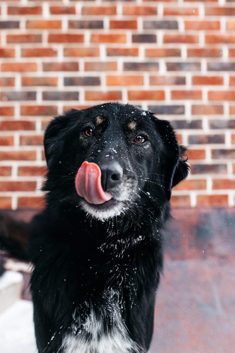 Мася - красотка, как скажет одна наша любимая подписчица!