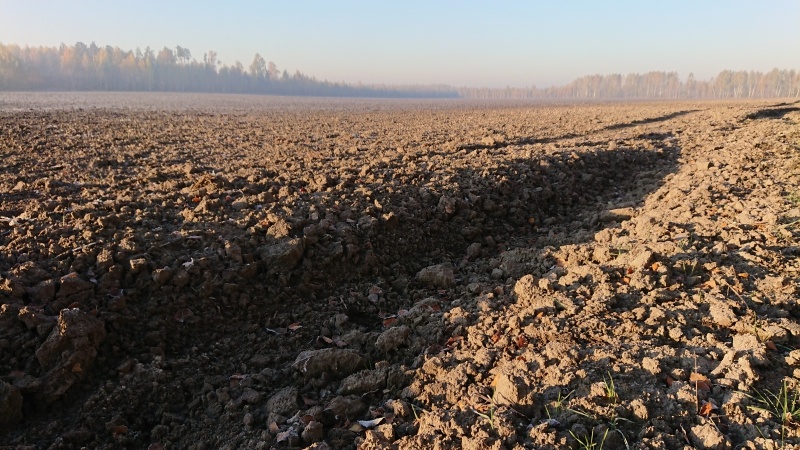  Пашня. Фото: REX