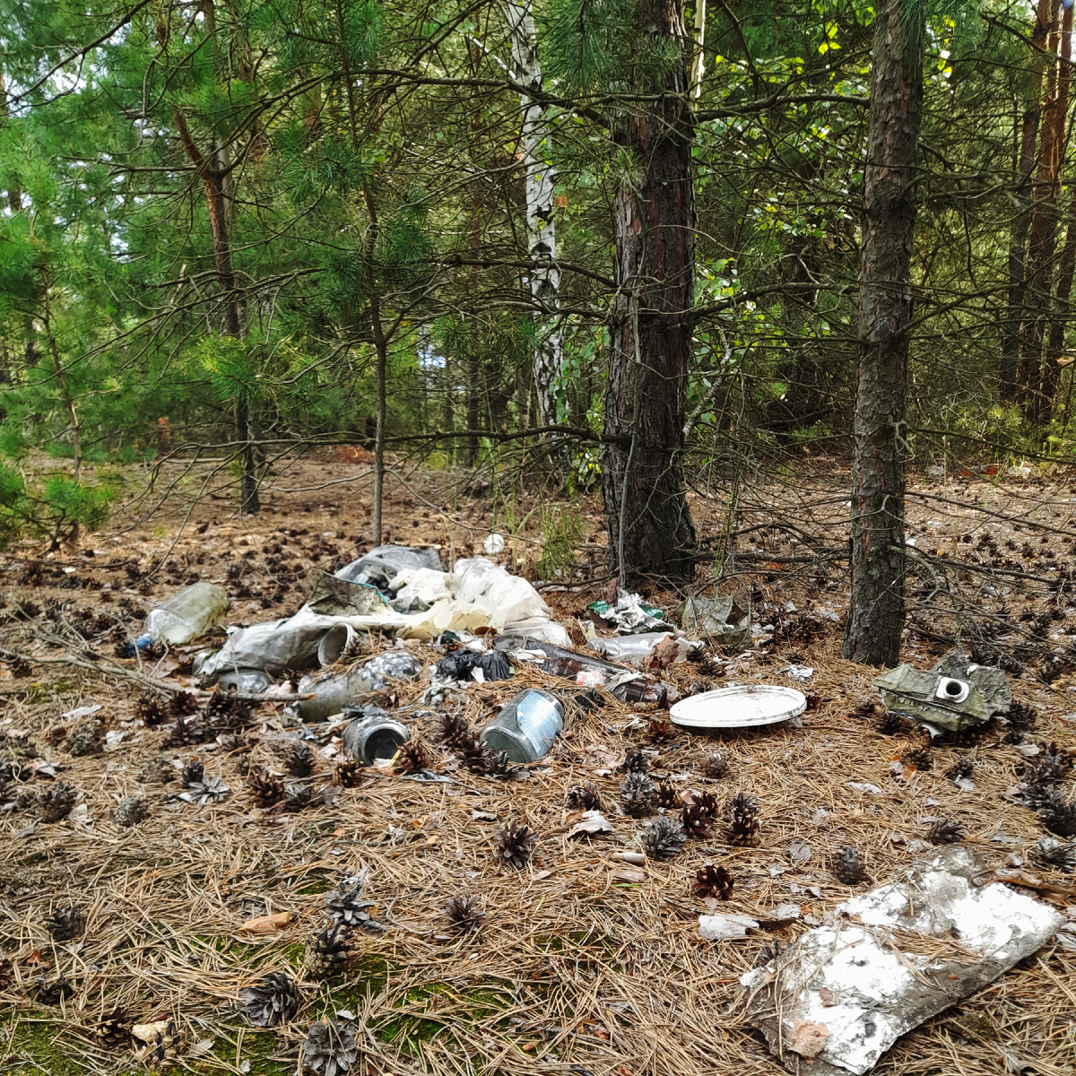 Кондуки, Тульская область.